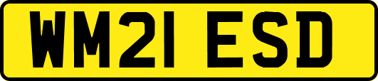 WM21ESD