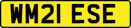 WM21ESE