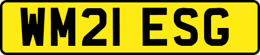 WM21ESG