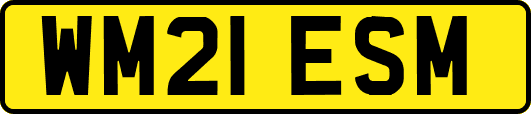 WM21ESM