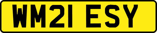 WM21ESY