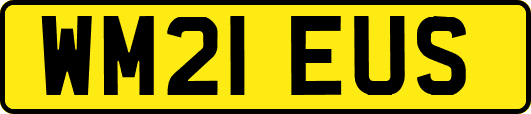 WM21EUS