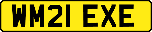 WM21EXE