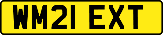 WM21EXT