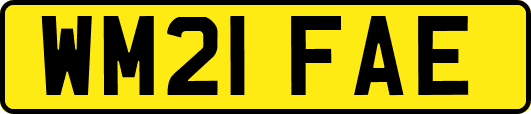 WM21FAE