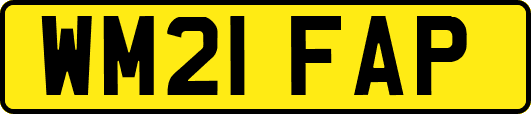 WM21FAP