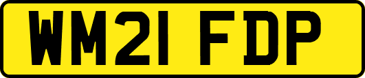 WM21FDP