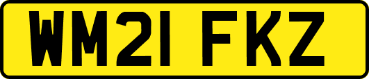 WM21FKZ