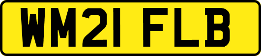 WM21FLB