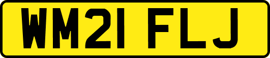 WM21FLJ