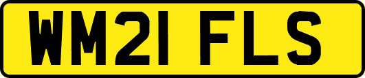WM21FLS