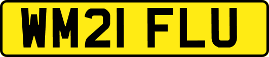 WM21FLU