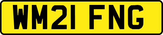 WM21FNG