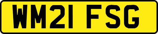 WM21FSG