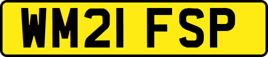 WM21FSP