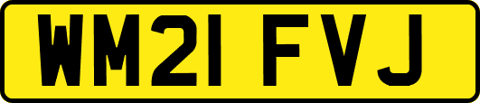 WM21FVJ