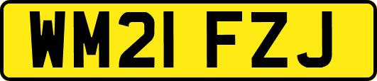 WM21FZJ