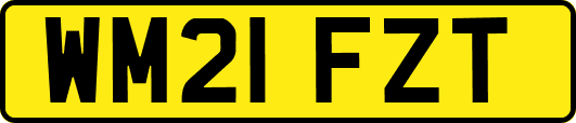 WM21FZT