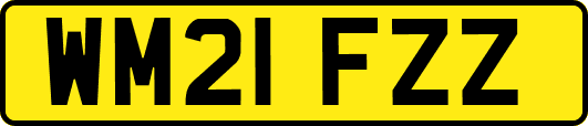 WM21FZZ