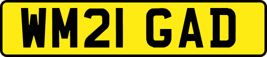 WM21GAD