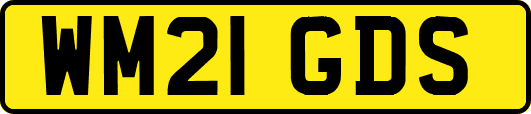 WM21GDS