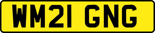 WM21GNG