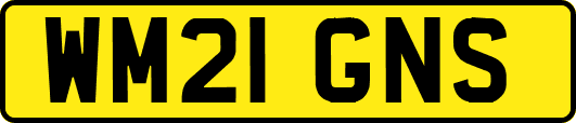 WM21GNS