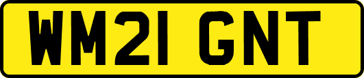 WM21GNT
