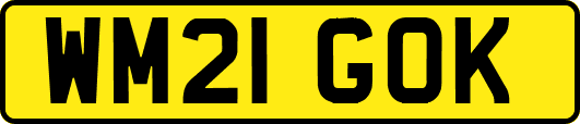 WM21GOK