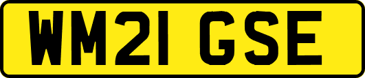WM21GSE