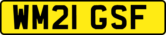 WM21GSF