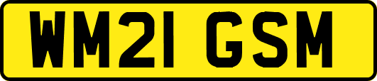 WM21GSM