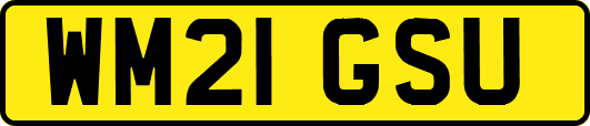 WM21GSU