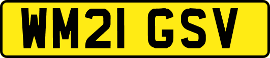 WM21GSV