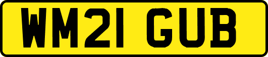 WM21GUB