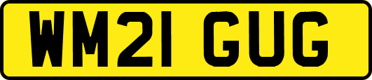 WM21GUG