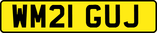 WM21GUJ