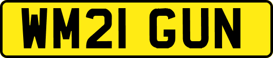 WM21GUN