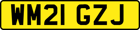 WM21GZJ