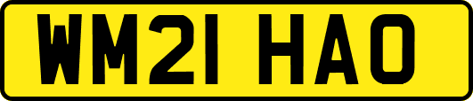 WM21HAO