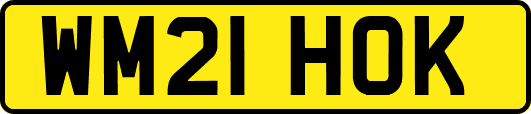 WM21HOK