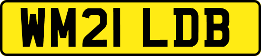 WM21LDB