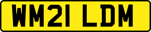 WM21LDM