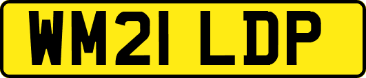 WM21LDP