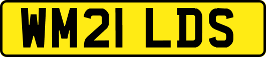 WM21LDS