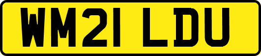 WM21LDU