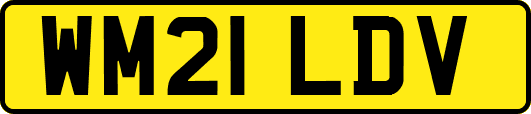 WM21LDV