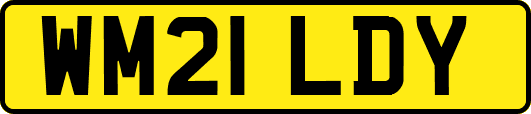 WM21LDY