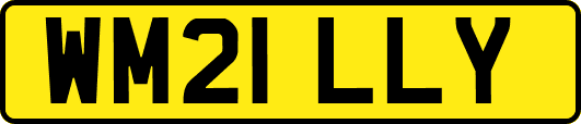 WM21LLY