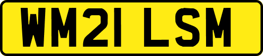 WM21LSM